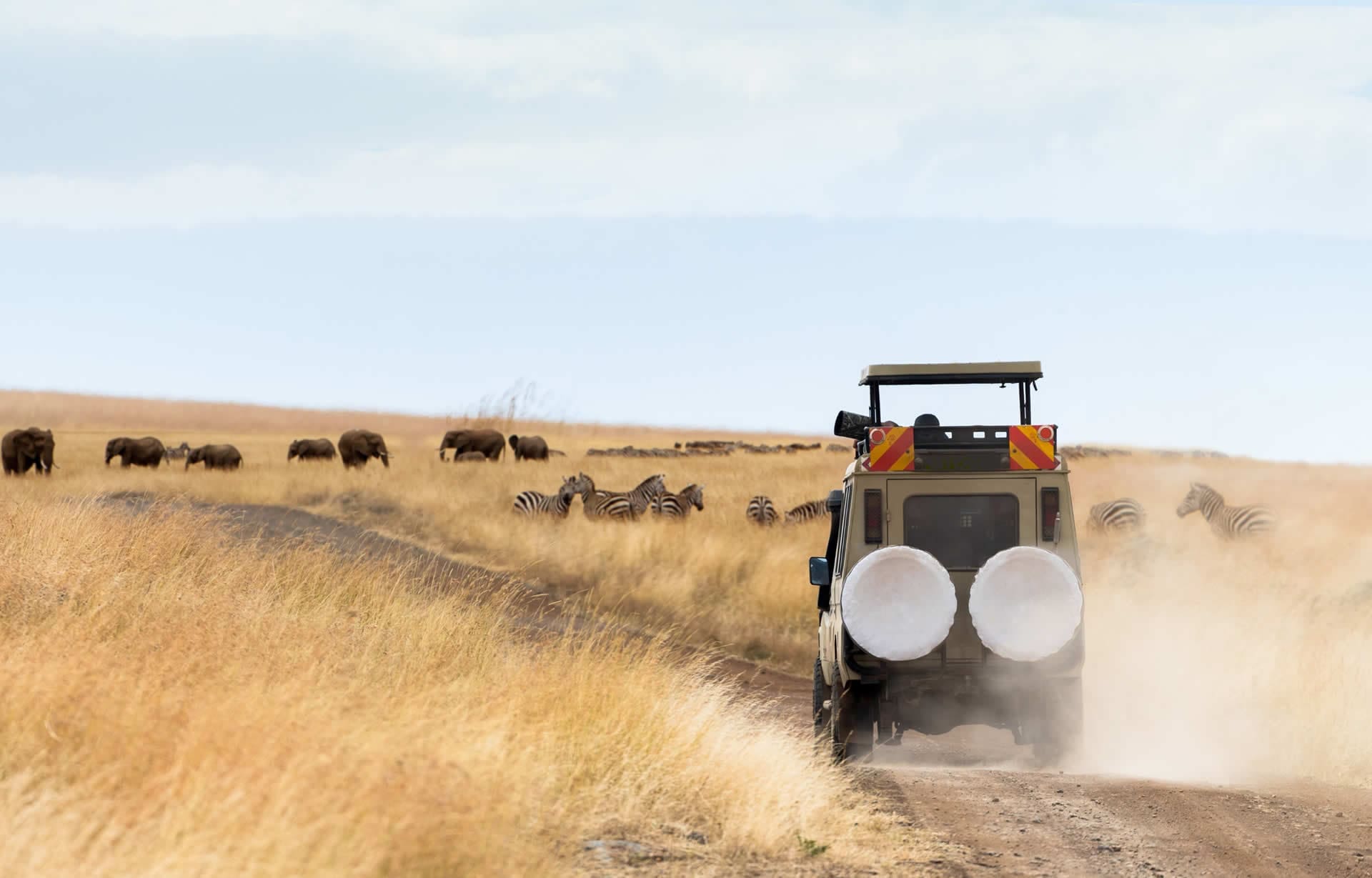 Game Drive